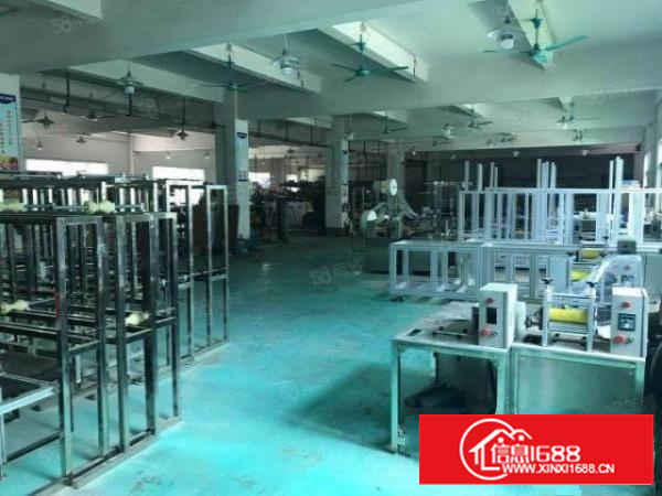 万江简沙洲楼房独院2500平方，空地超大