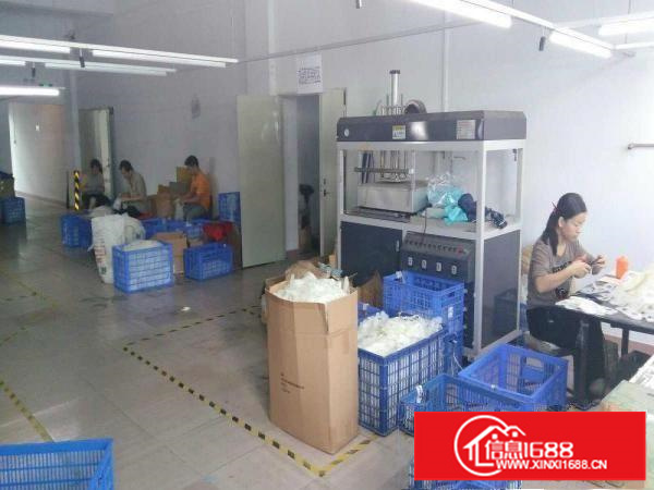 出租龙岗区横岗坳一村阿宝工业园B栋厂房