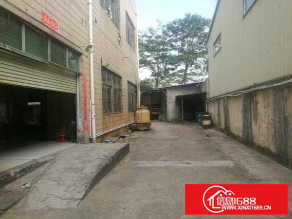 牛湖大水田一楼厂房700可成独院