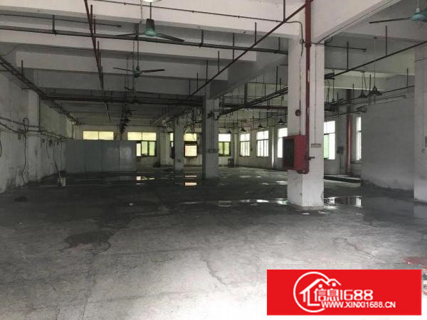 君子布一楼800平方厂房出租