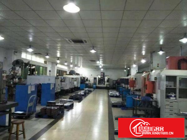 出租清溪青皇新出现成装修一楼500平方