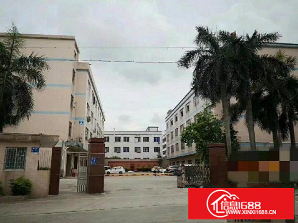 茶山原房东直租，独门独院厂房招租4000方，