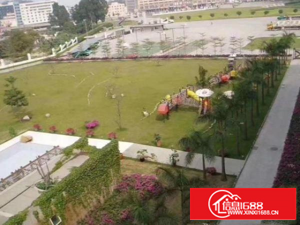 新出稀缺12米高单一层钢构厂房面积24000平方