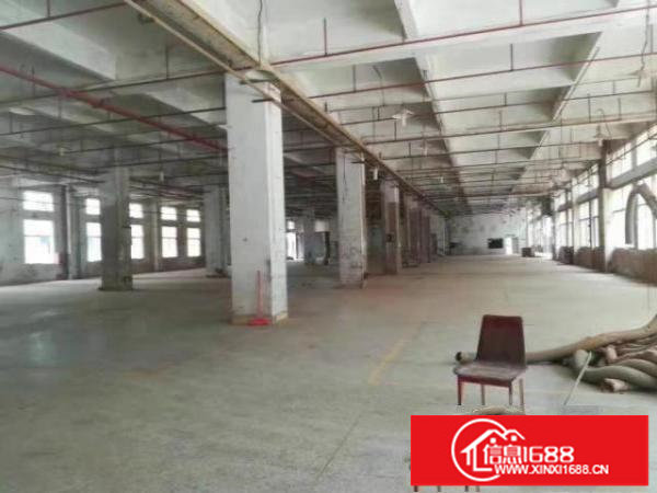 龙岗坪地龙岗大道旁（花园式）原房东厂房招租合同长实际面积