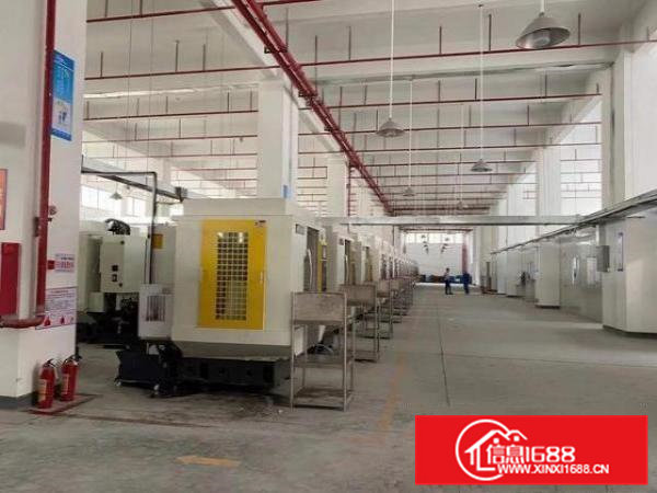 原房东厂房实际面积出租，高度7米