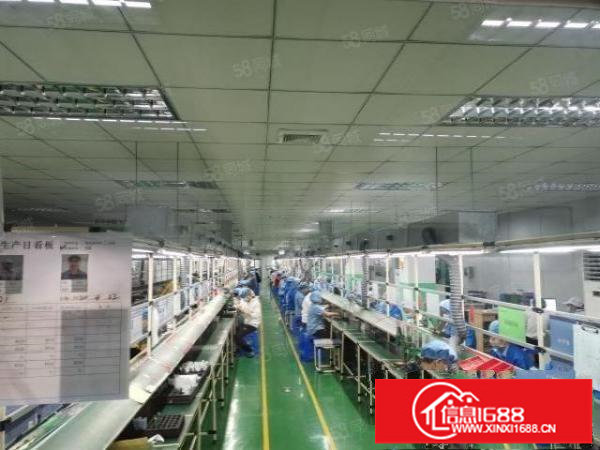 福永桥头新出原房东1500平带精装修厂房出租