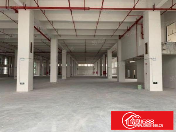 三乐路边丙二类消防布匹首层8米进车方便证件齐全c