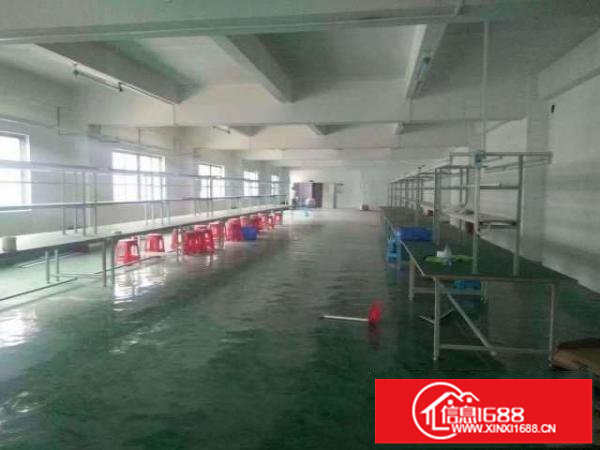 金富园区1到3层独院共4500平米出租可分层租