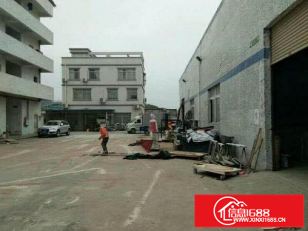 清溪大利新出单一钢构厂房实际面积2800方，可分租