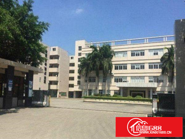 平湖良安楼上400平方带装修厂房现成水电办公室