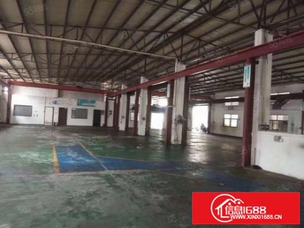 虎门树田6米高钢构厂房2600平米招租可分租