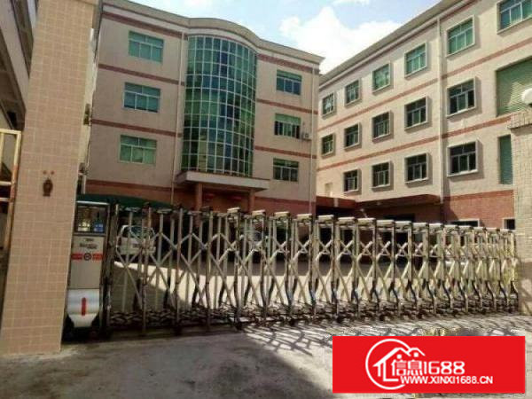 龙岗龙东楼上整层800平带装修厂房出租，无公摊