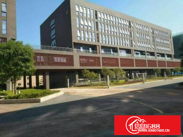 坪山标准装修好办公楼出租