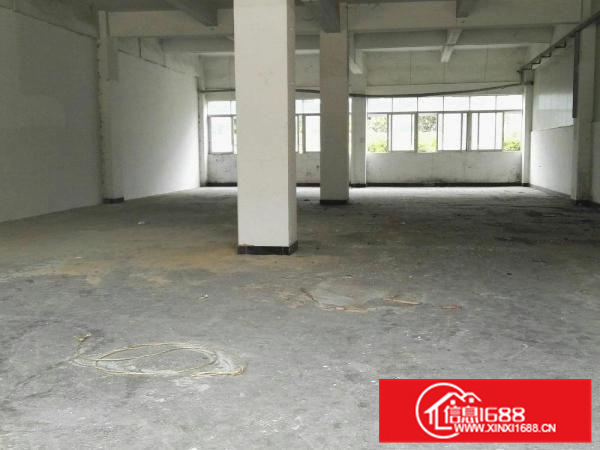 出租惠阳新墟标准一楼5.3米高550平方厂房