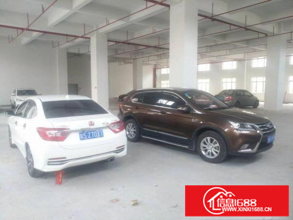 企石镇新出原房东标准厂房一楼1500平方，无公摊无杂费