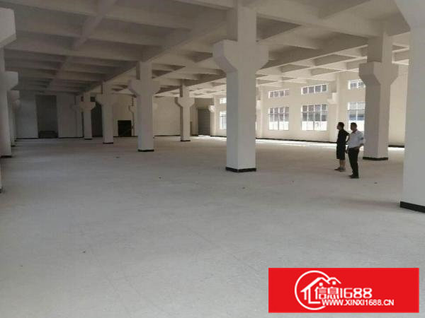 企石镇独院标准厂房出租