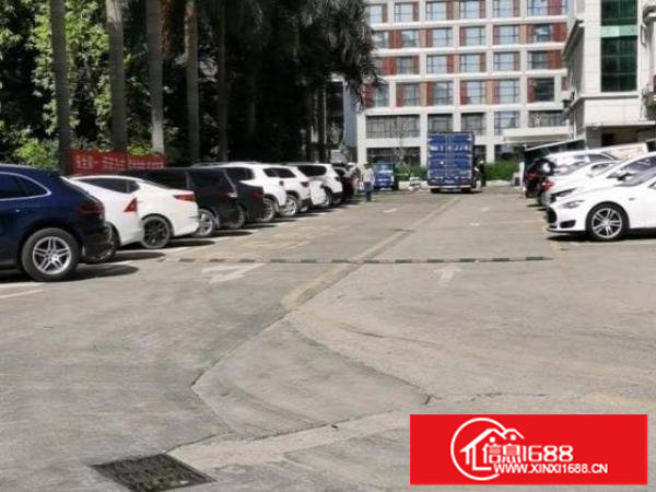 业主直租面积2500平米（有红本）