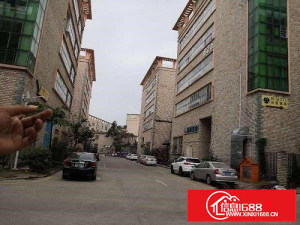 坪山高铁站附近新出楼上750平带装修出租3吨电梯