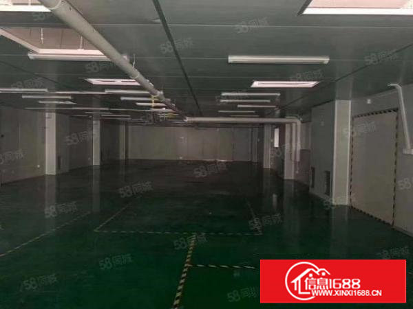 塘厦林村标准厂房1楼2800平方！天花吊顶，大小可分租