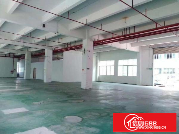惠州市博罗县龙溪镇电渡基地旁全新标准厂房招租