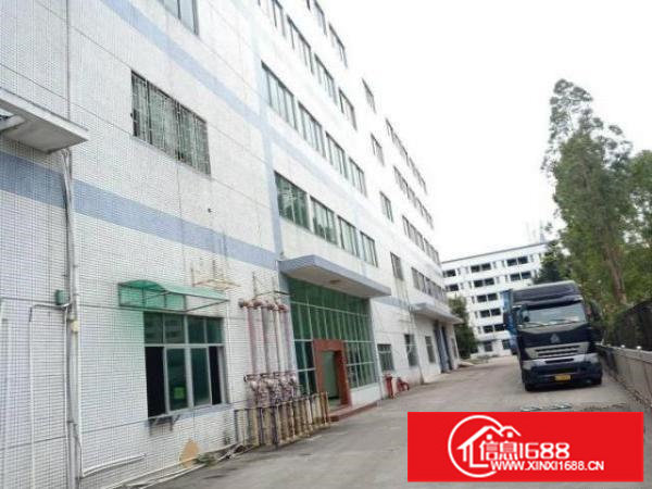 龙华大型工业区独栋厂房可进大车环境好价格实惠行业不限