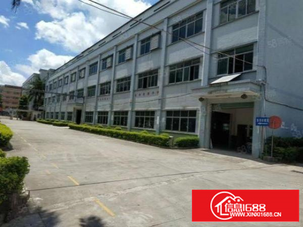 茶山镇塘边原房东标准厂房三楼800平方招租总面积1100