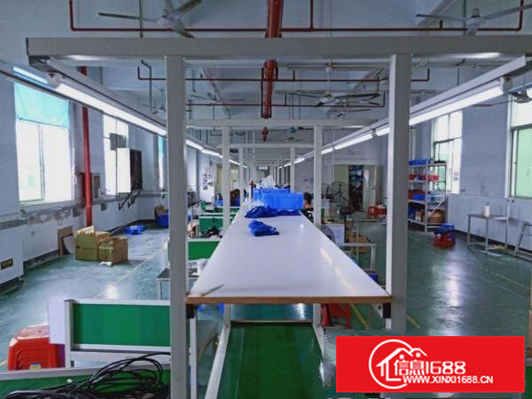 桥头，独独栋标准3000方原房东厂房，不限行业，价格优惠