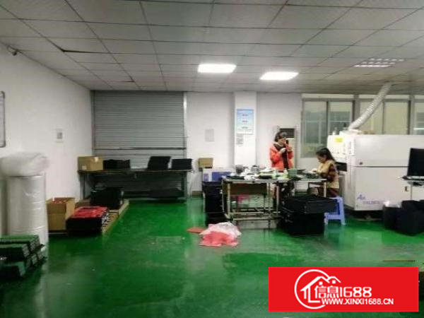 大浪会堂后面新出一楼800平带装修厂房招租