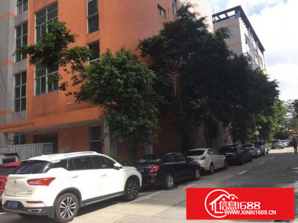 坂田花园式园区450平，3吨货梯，有办公室车间！