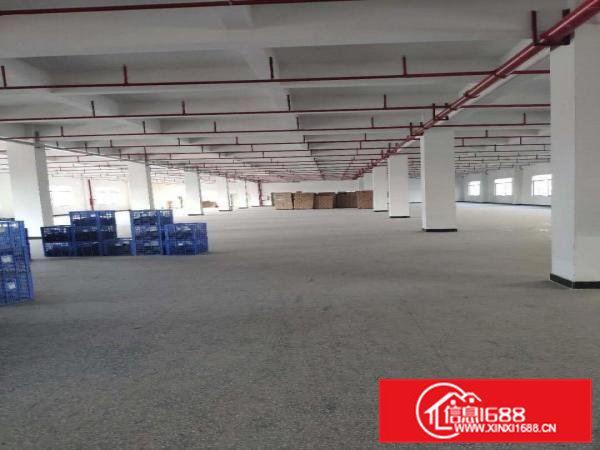 真实图片分租一层可以做重工业，现成装修