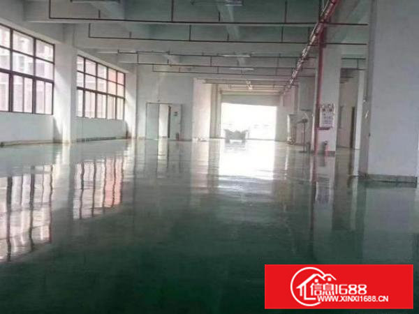 凤岗成熟工业园内出租楼上（豪华装修）厂房1200平水电齐全