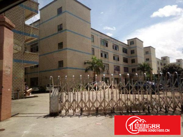 (可分租）平湖高速出口6600独院厂房