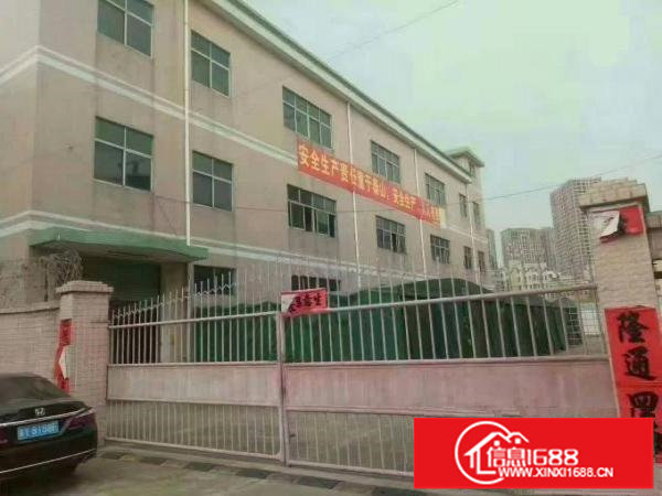 坪山碧岭原房东独院厂房3层2700平米，11元招租