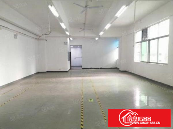 龙华大浪工业园200;375平米小面积带精装办公厂房仓库招租