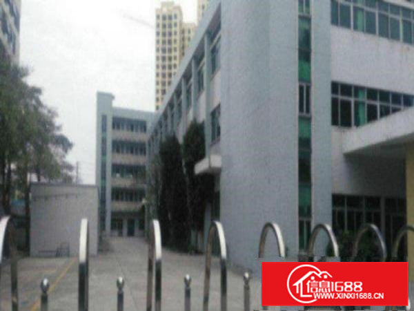 高埗4500平方独院标准厂房出租形象好交通方便可办环评