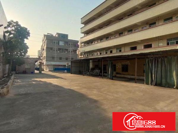 大朗镇原房东小独院单一层4300平，滴水7米，可办环评！