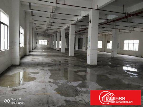 三栋镇工业园一楼2400平米厂房出租靠路边有红本