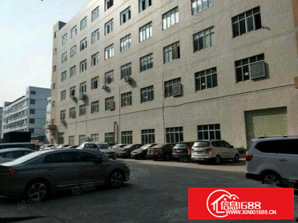 笋！笋！十年金牌中介！东莞众赢地产免费为您找厂房！