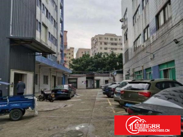 爱联一楼650平厂房出租精装修地坪漆水电齐全