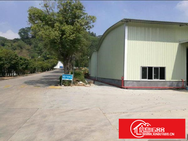 靠横沥立交9米高钢构厂房仓库2000平米出租