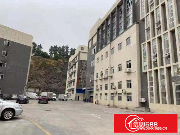 凤岗金凤凰原房东一楼2600平出租，可分租