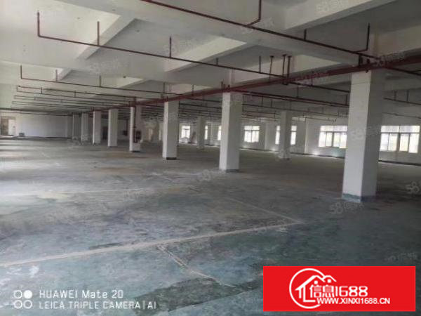 龙岗嶂背新出出租450平原房东厂房实际面积空地大原房东仅16