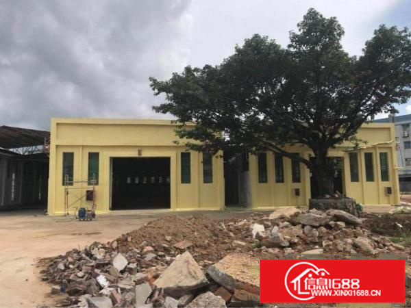 镇隆新出厂房工业园标准厂房四层5400平米，出租