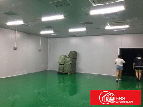 桥头新出村委！带红本！空地超大空地厂房1000平方起出租！