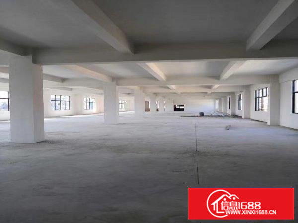 企石镇独院标准厂房出租