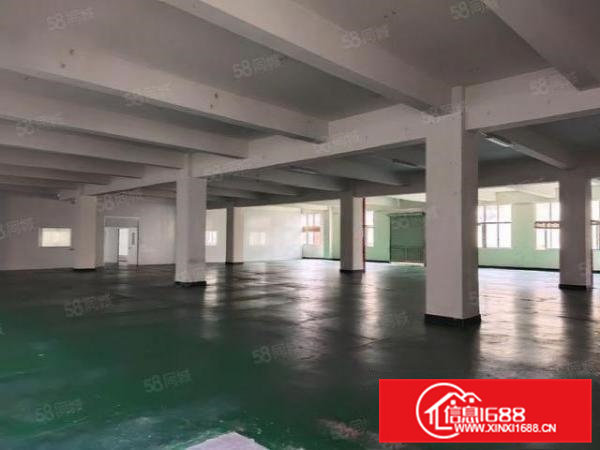 大朗象山工业园新出独院原房东独院标准厂房，总面积14000平