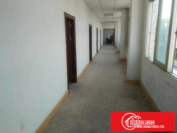 四方埔独院厂房4800平米12元整租