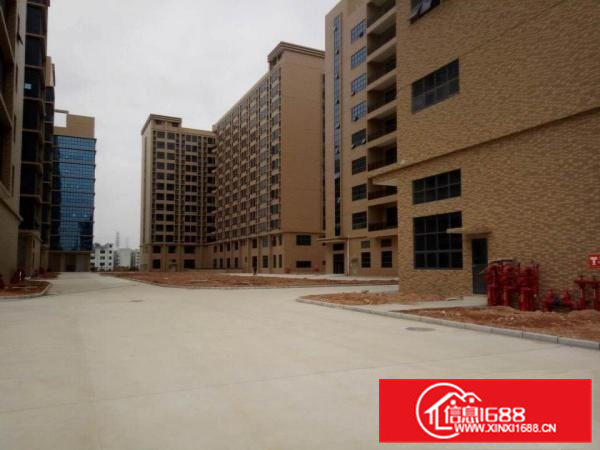 凤岗镇大型高新孵化园火热招租中)可分租）有高新补助