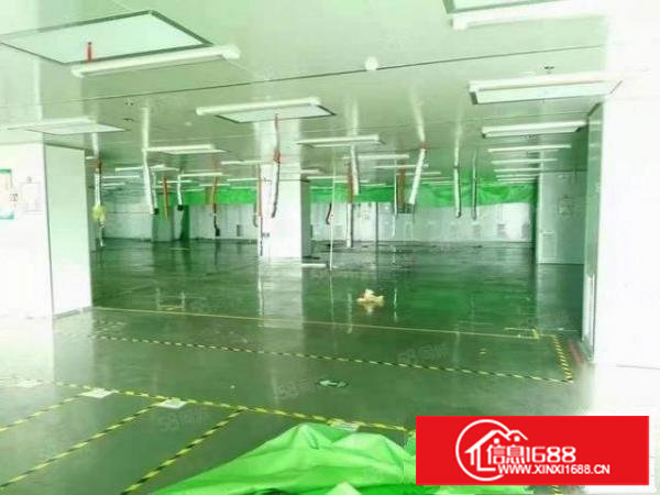 长安上沙出楼上300平方厂房火热招租