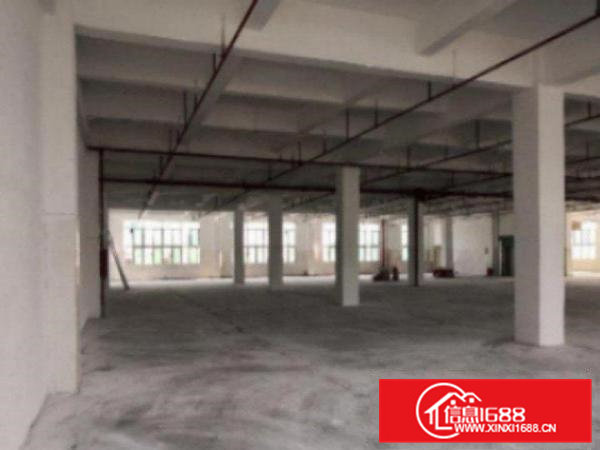 高埗标准厂房分租一楼2000平方带办公室装修